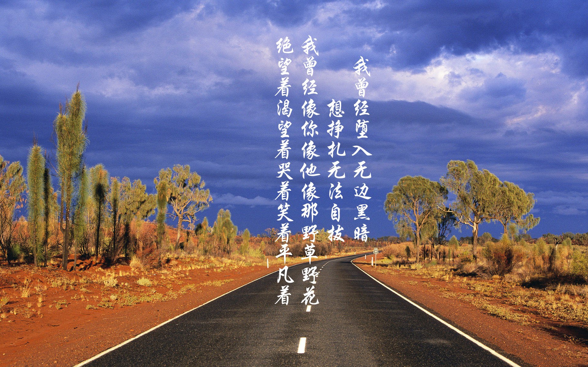 世界举重裁判线上复审平台功能优化公告，世界举重协会官网